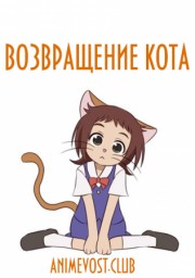 Аниме Возвращение кота онлайн