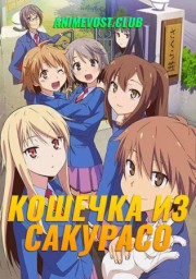 Кошечка из Сакурасо онлайн